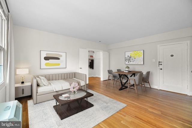 living room featuring hardwood / wood-style floors