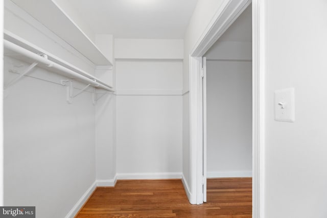 spacious closet with wood-type flooring