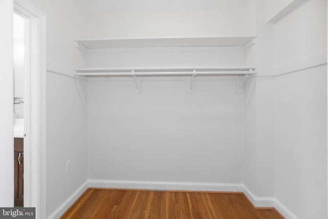 walk in closet with hardwood / wood-style floors