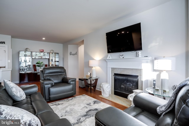 living room featuring hardwood / wood-style flooring and a fireplace