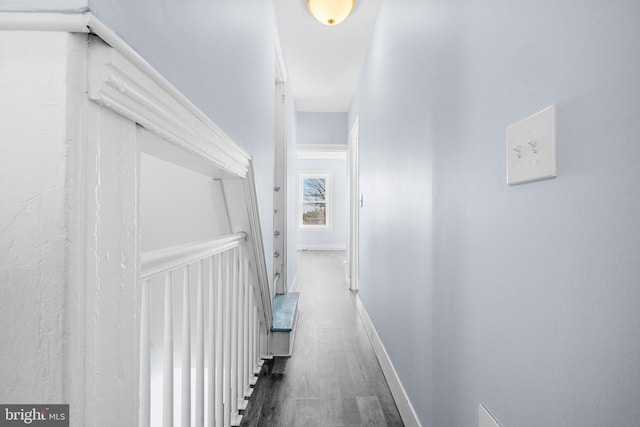 hallway with dark wood-type flooring