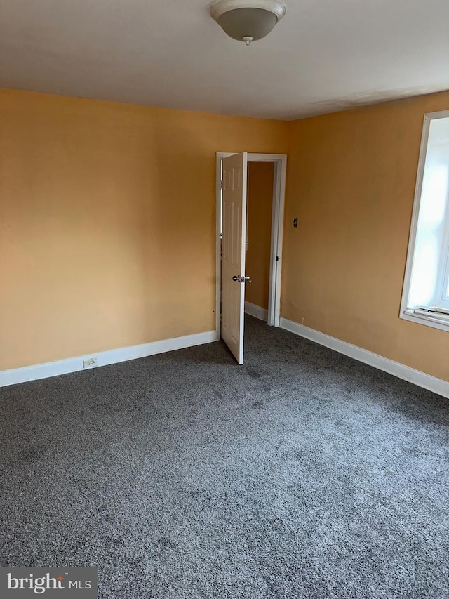 spare room with carpet