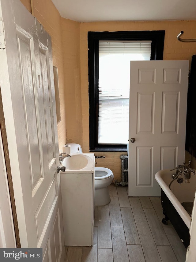 bathroom featuring vanity, toilet, and a tub