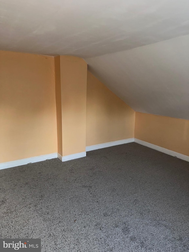 additional living space featuring lofted ceiling and carpet floors