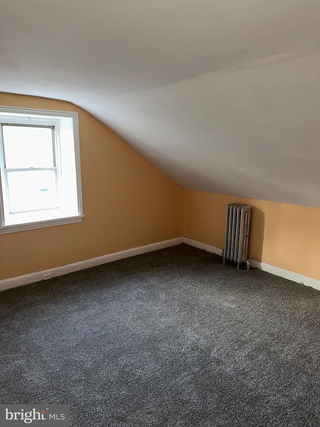 additional living space featuring radiator heating unit, vaulted ceiling, and carpet