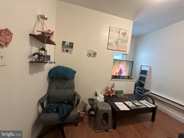 living area featuring hardwood / wood-style floors