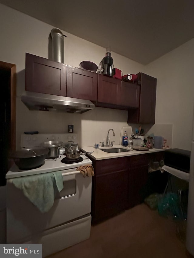 kitchen with sink, dark brown cabinets, and white electric stove