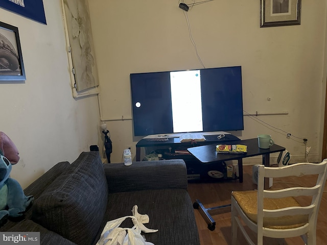 living room featuring hardwood / wood-style flooring