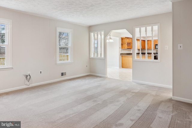 spare room featuring a healthy amount of sunlight, light colored carpet, and a textured ceiling