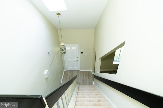 stairway featuring wood-type flooring and a skylight