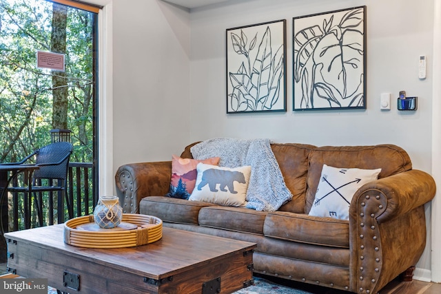 living room with a healthy amount of sunlight