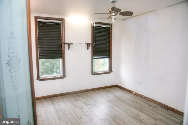 spare room featuring ceiling fan, a wealth of natural light, and light wood-type flooring