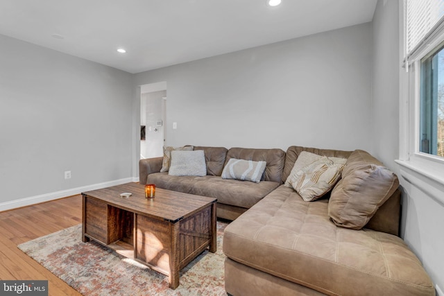 living room with wood-type flooring