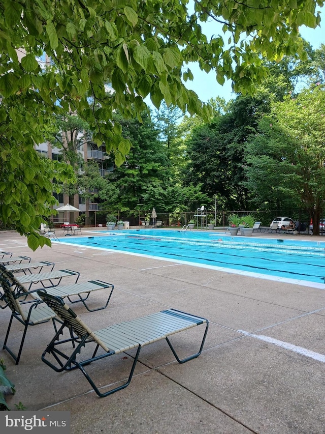 view of swimming pool