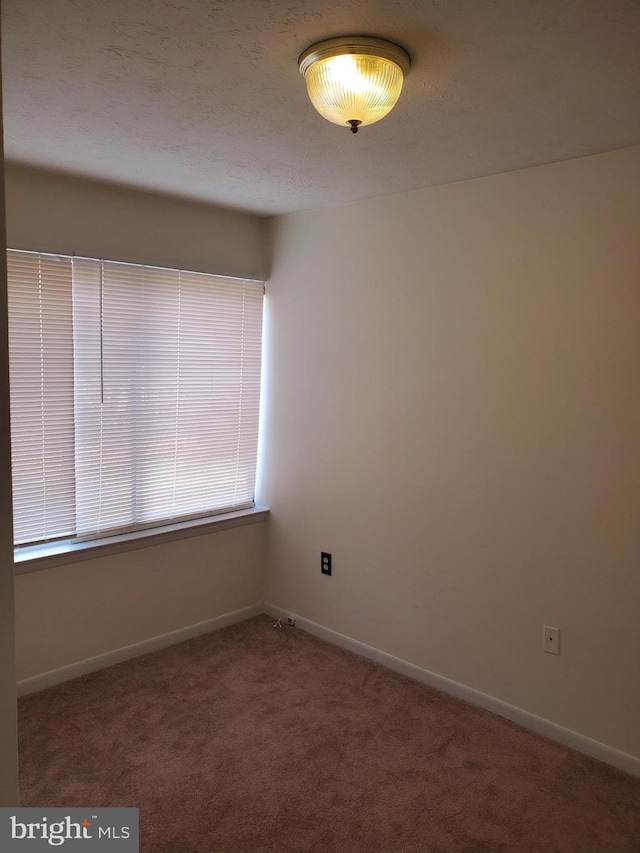 empty room featuring a textured ceiling and carpet flooring