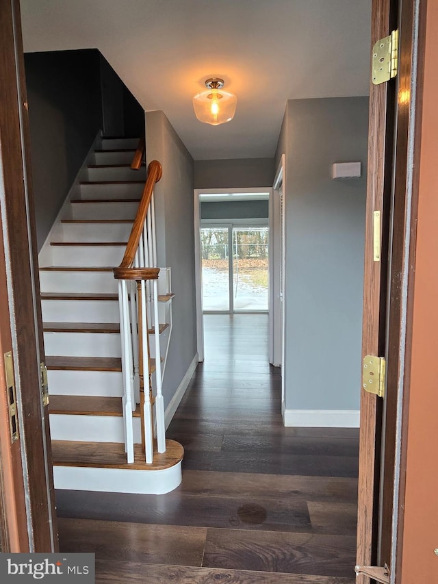 staircase with hardwood / wood-style flooring