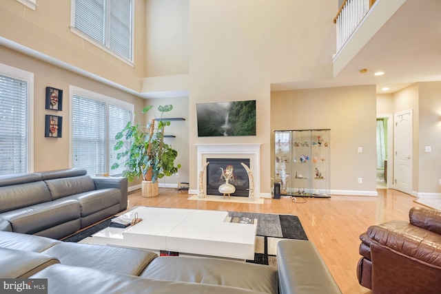 living room featuring hardwood / wood-style floors and a high ceiling