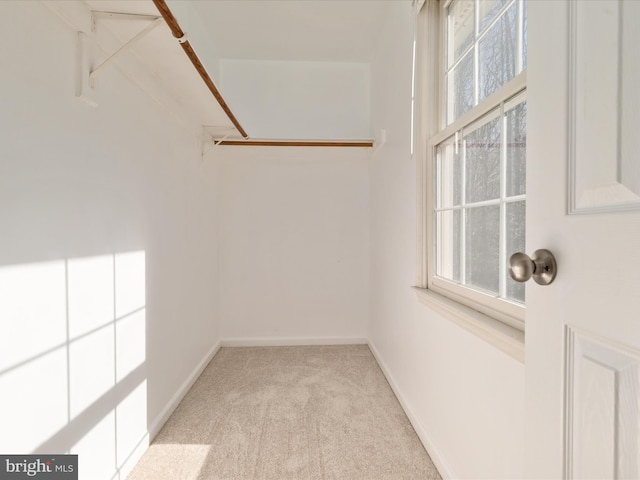 walk in closet with light carpet