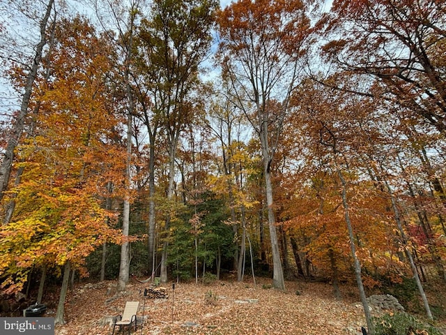 view of local wilderness