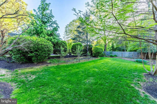 view of yard featuring a fenced backyard