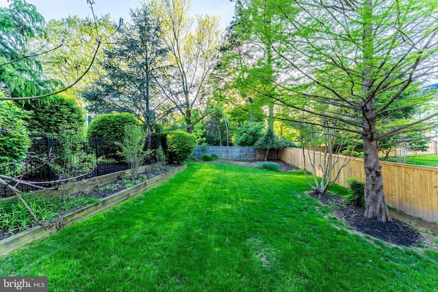 view of yard with a fenced backyard