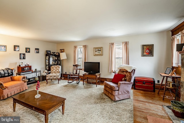 living room featuring wood-type flooring