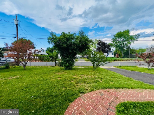 view of green lawn