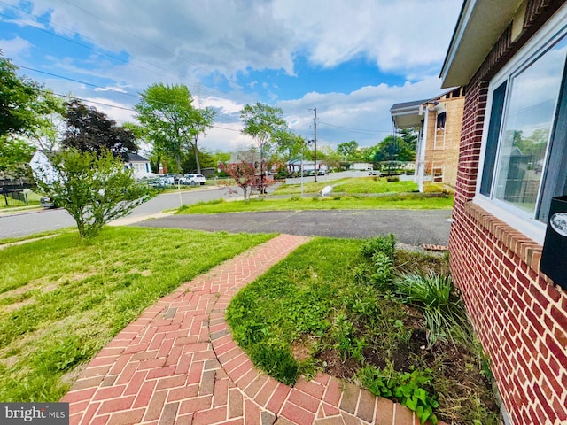 view of green lawn