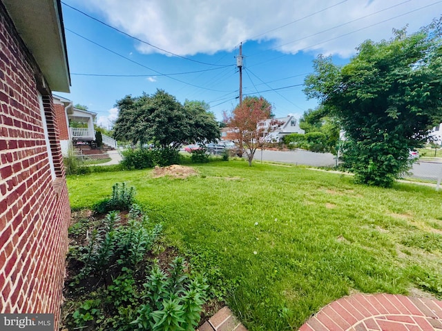 view of grassy yard