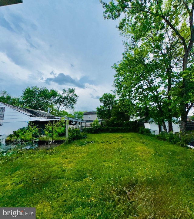 view of yard