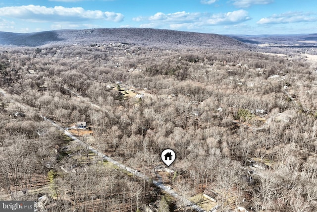 bird's eye view with a mountain view