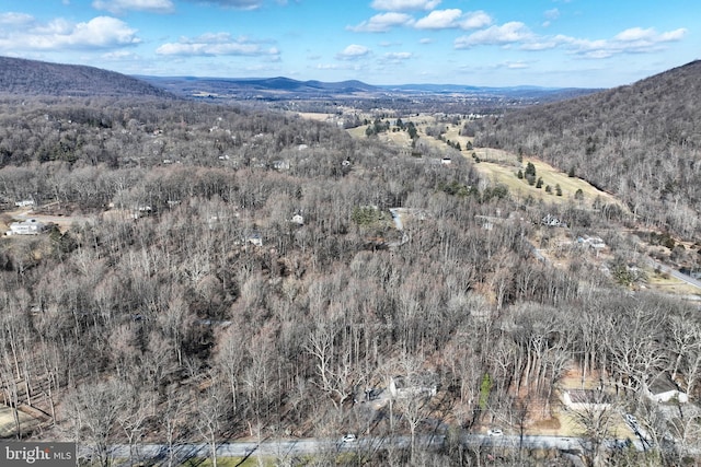 view of mountain feature