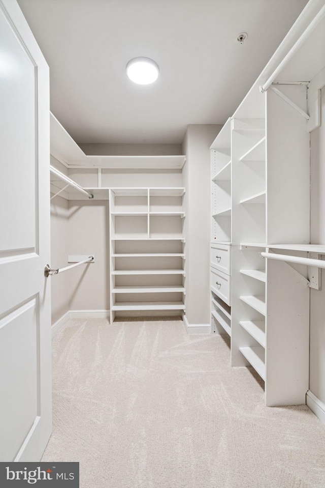 11990 Market St Unit 1311, Reston, VA 20190 - spacious closet featuring carpet