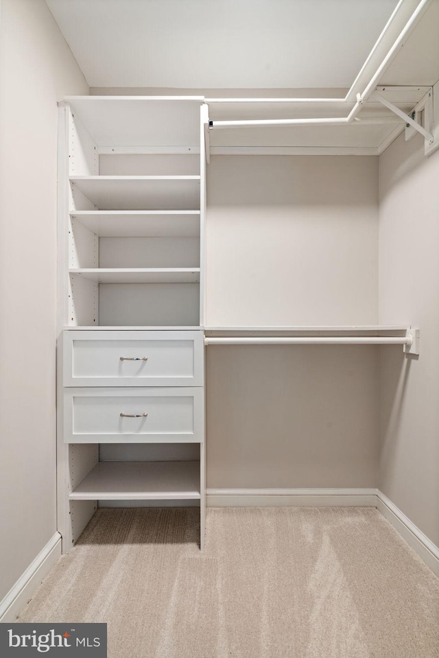 11990 Market St Unit 1311, Reston, VA 20190 - walk in closet with carpet