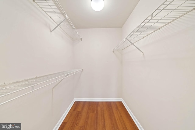 walk in closet featuring hardwood / wood-style flooring