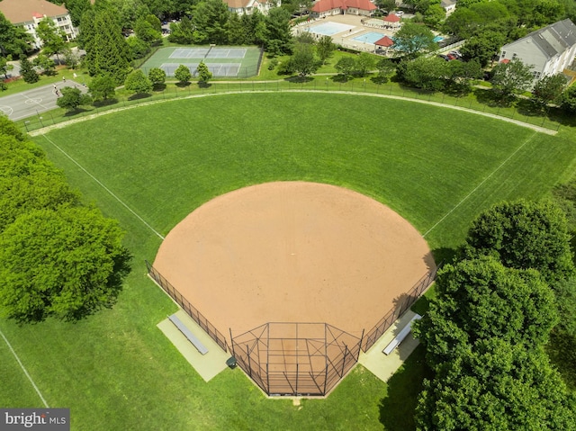 bird's eye view