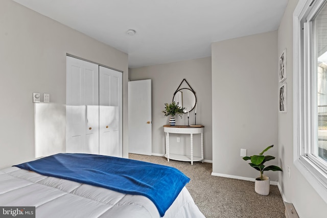 bedroom with carpet floors