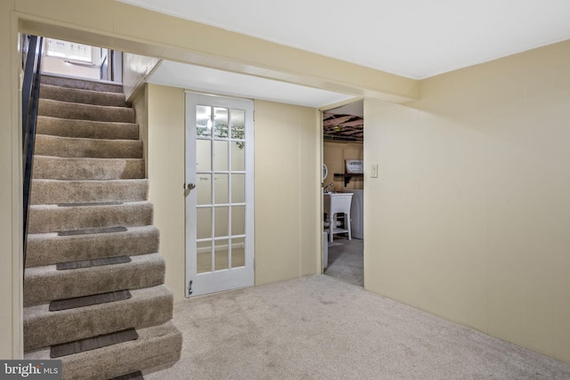 basement featuring carpet