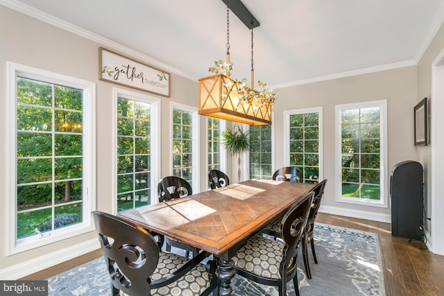 dining room with an inviting chandelier, crown molding, dark wood-type flooring, and a wealth of natural light