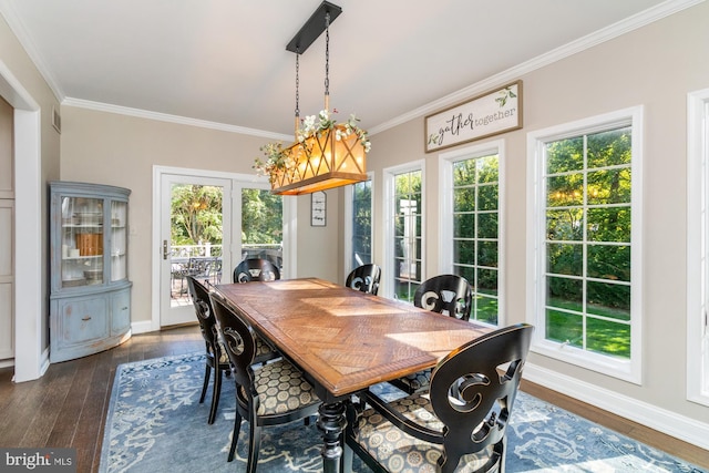 dining room with ornamental molding, a wealth of natural light, and dark hardwood / wood-style flooring