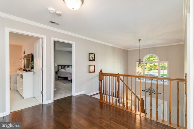 corridor with dark wood-type flooring, crown molding, and an inviting chandelier