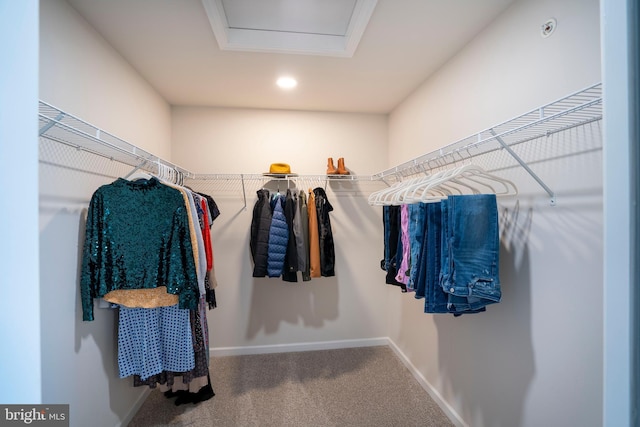 spacious closet with carpet flooring