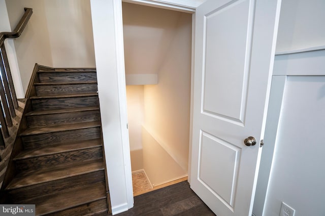 staircase with hardwood / wood-style floors