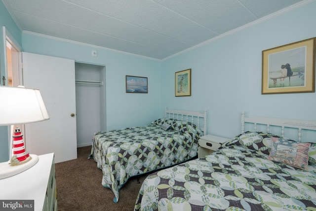 carpeted bedroom with a closet and crown molding