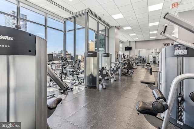 workout area featuring a paneled ceiling and floor to ceiling windows