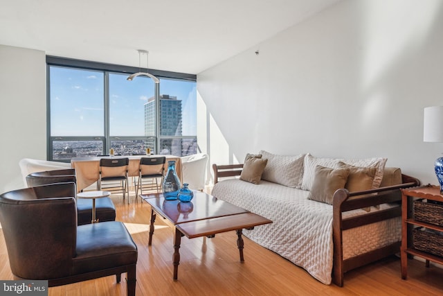 living room with a view of city, light wood finished floors, and floor to ceiling windows