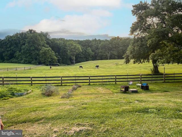 view of yard with a rural view