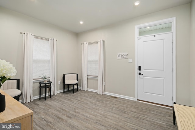 foyer entrance featuring hardwood / wood-style flooring