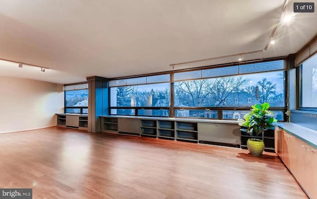 interior space featuring wood-type flooring and rail lighting