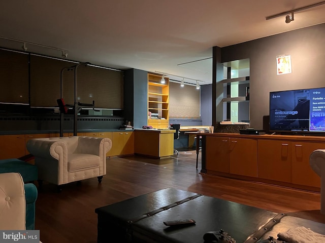 living room with track lighting and dark hardwood / wood-style floors